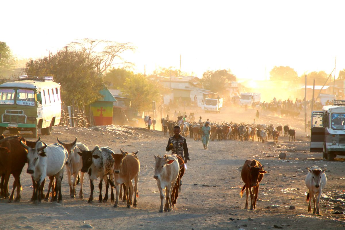Community of Kinna